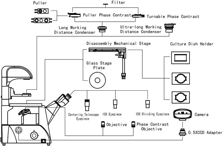 Structure Diagram of XD-3 Inverted Biological Microscope
