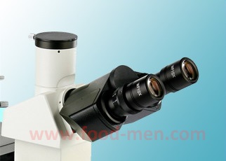 Picture of the eyepieces of the XD-1 inverted biological microscope