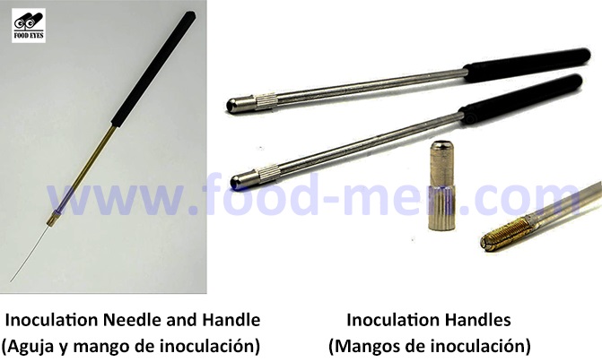 Picture of the metal inoculation needle and handles