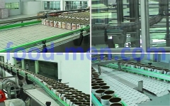 CR Series Can Body Conveyors